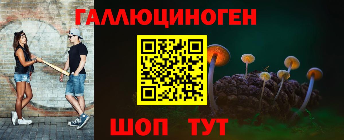 Самара  Псилоцибиновые грибы Cubensis  Вход с VPN  Псилоцибиновые грибы GOLDEN TEACHER 